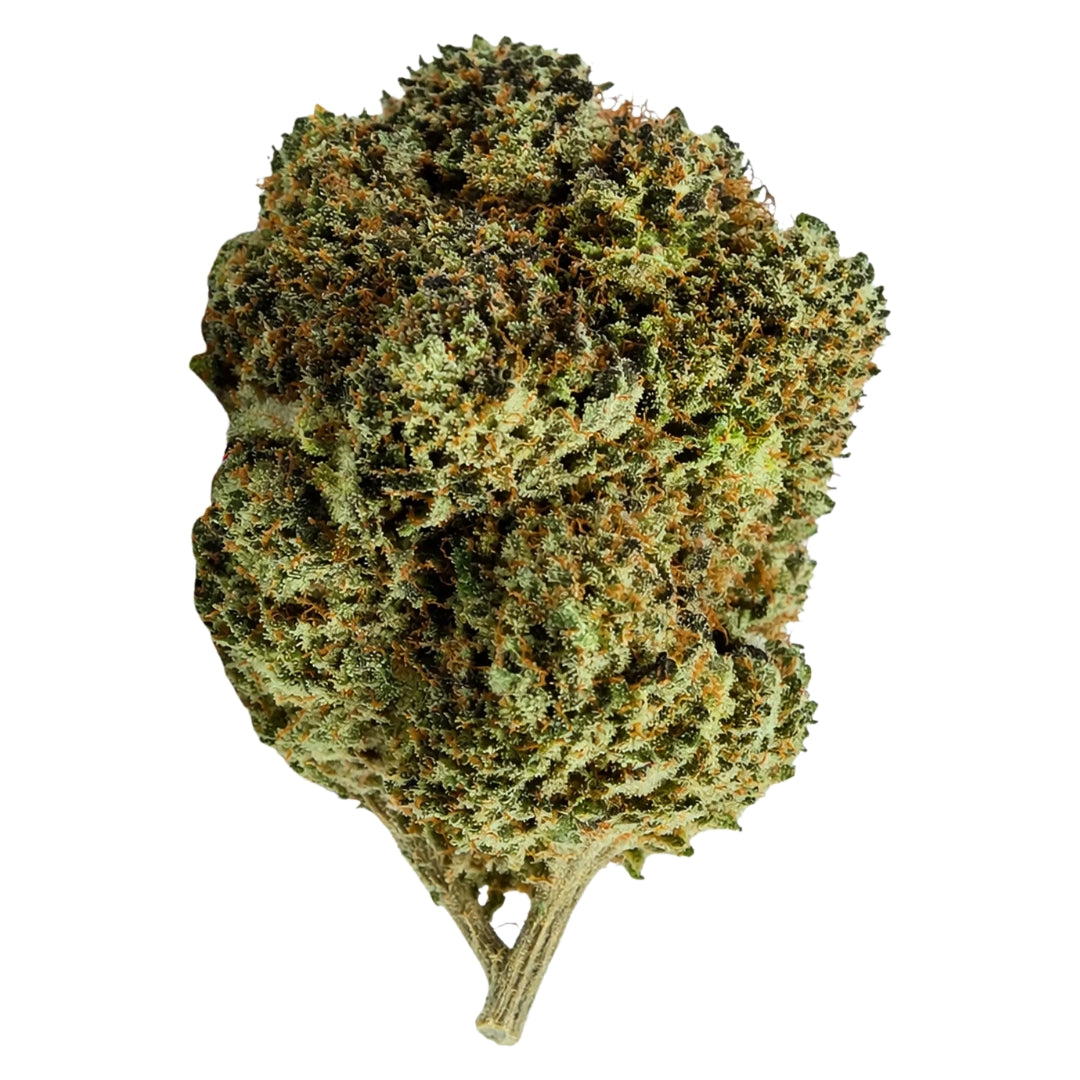 Gelato 33 Hybrid THCA Flower - (28 grams)