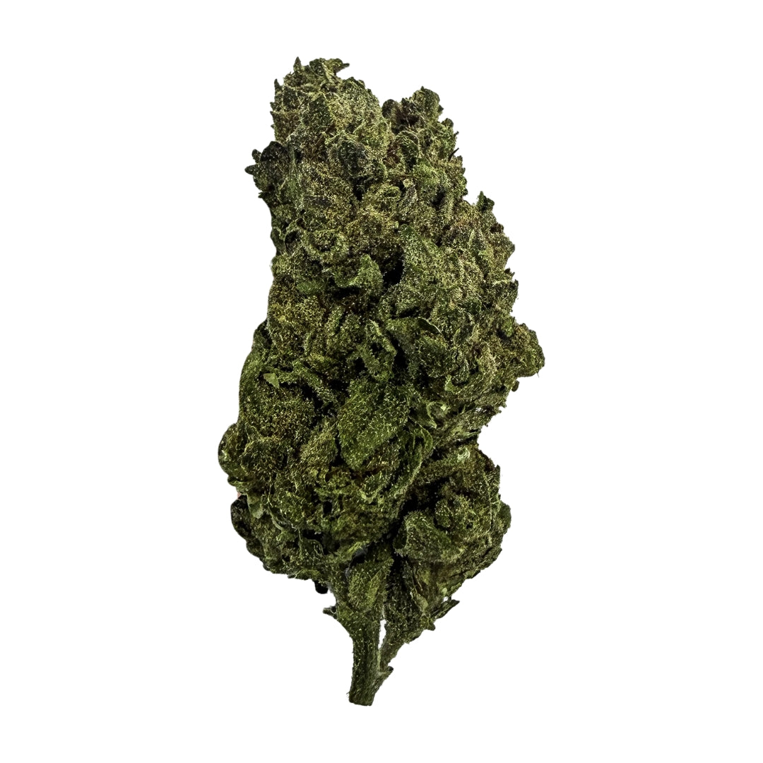 Ghost Train Haze Sativa THCA Flower - (28 grams)