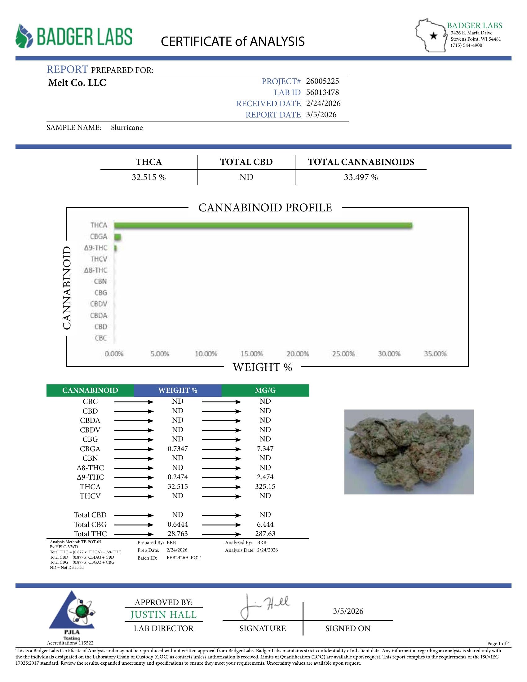 Lab report — Slurricane THCA potency analysis