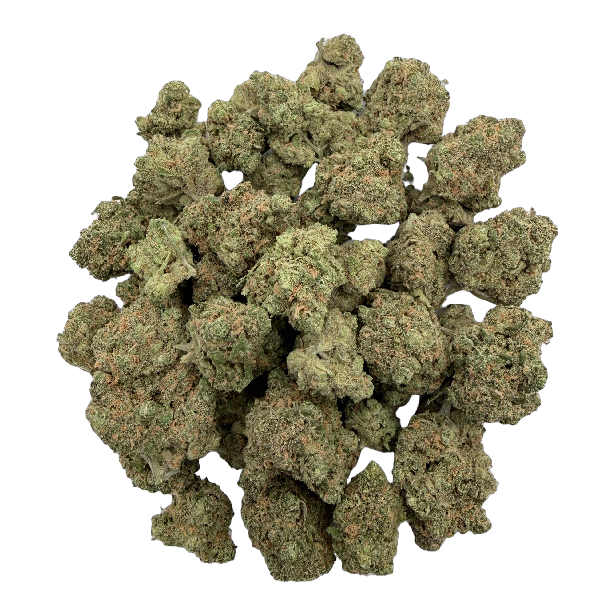Blue Dream Hybrid THCA bulk flower by Melt