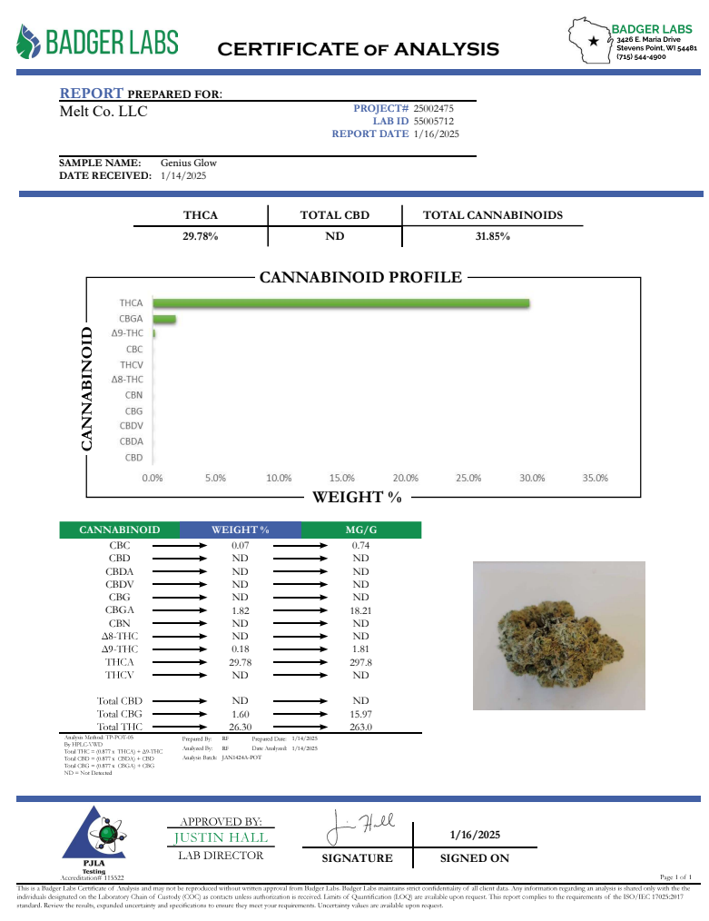 Geniu  Glow THCA Flower – Premium Boutique Craft Cannabi  With Citru  Pine Aroma - Melt